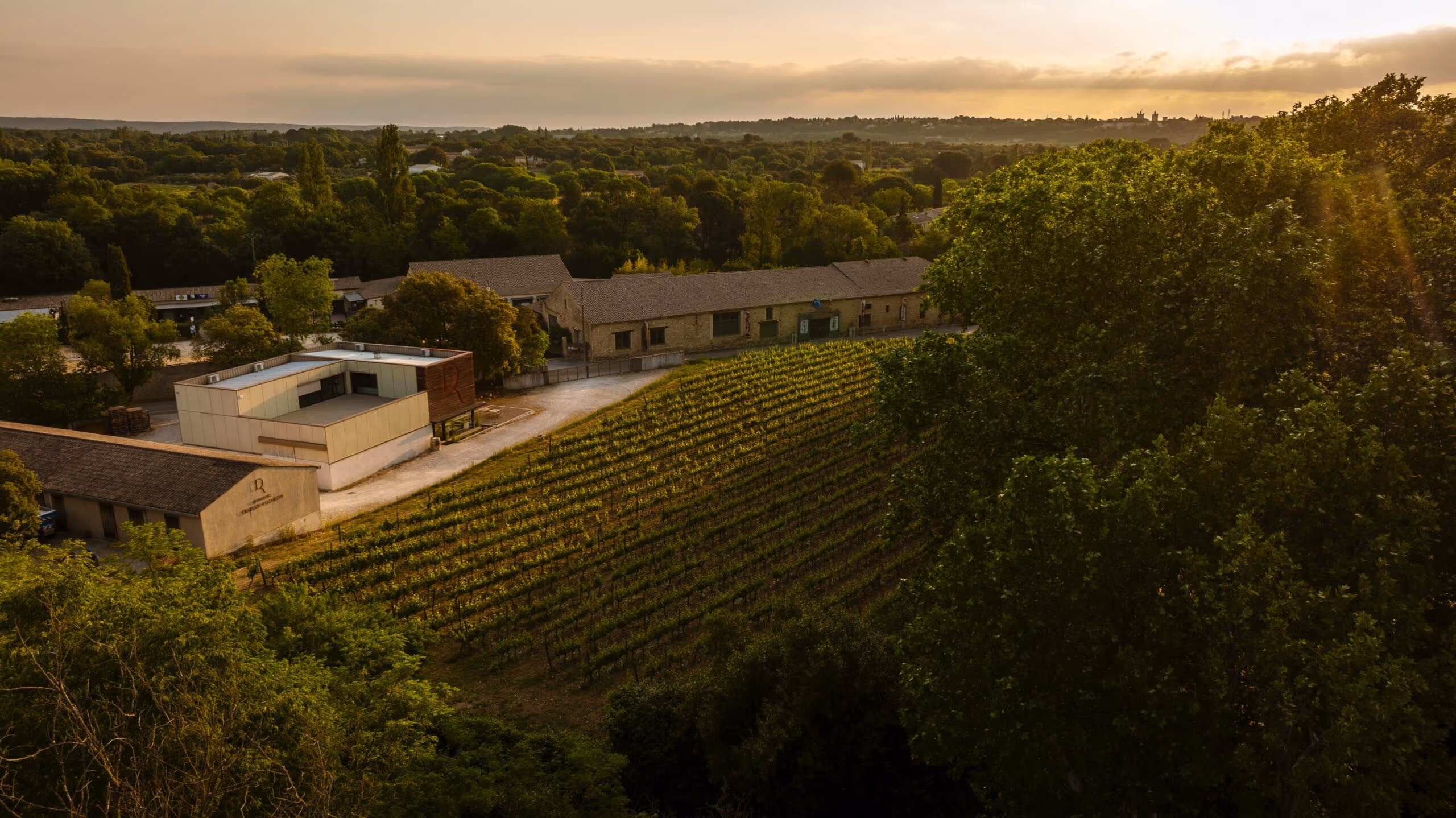 Domaine Deleuze-Rochetin, Vallée du Rhône.