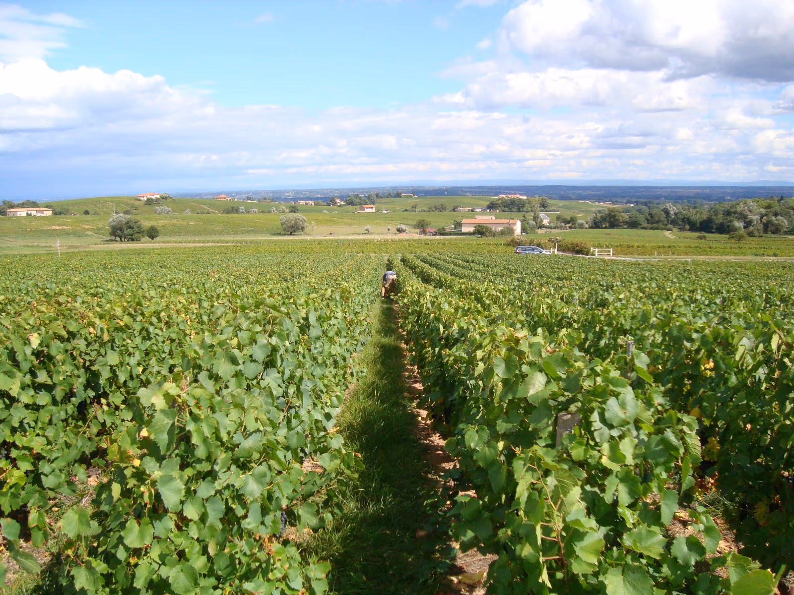 Domaine du Tane